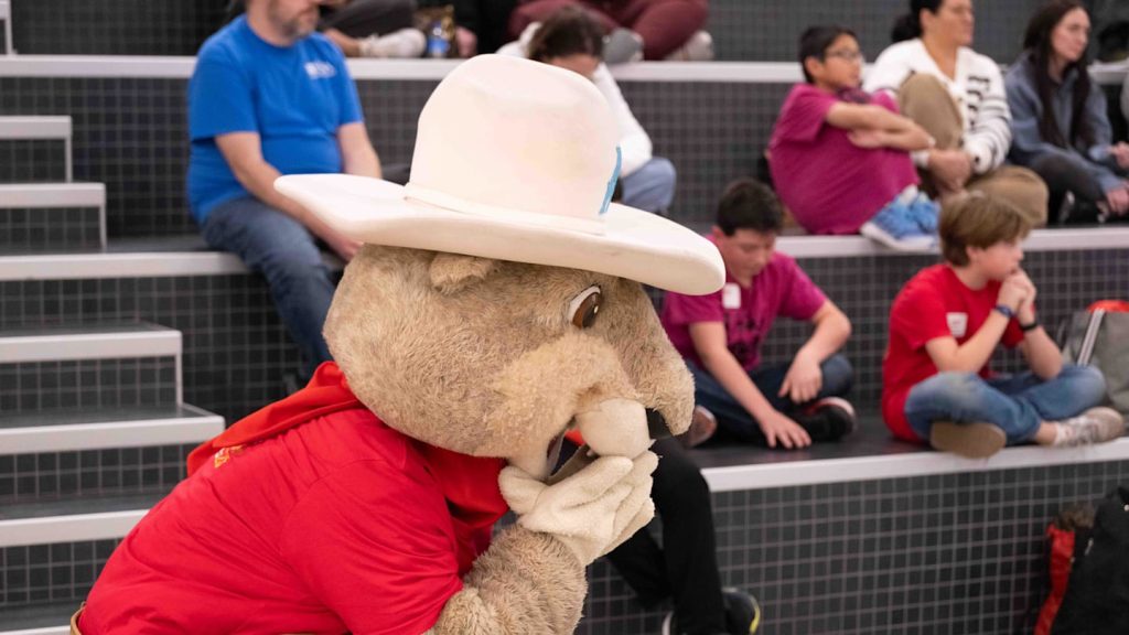 Diamondbacks Affiliate Loses Hard-Fought Playoff Series